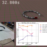 EELS-DARTS Snake Robot Simulator