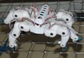 Spiderbot:  Robotic Colonies