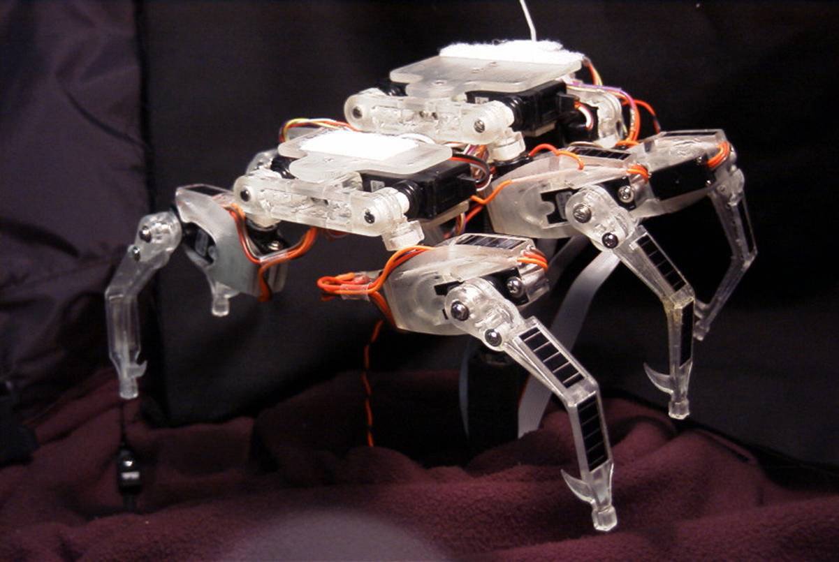 spider robot from nasa