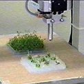 Automated Plant Micro-Propagation