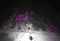 Nighttime Perception and Visual Odometry for Small Unmanned Ground Vehicles